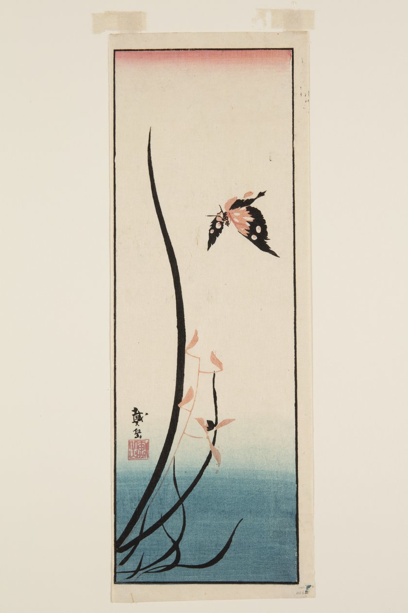 Pillangó és fű (színes fatömbnyomat) alkotó: Katsushika II (fl.1820 50) Taito