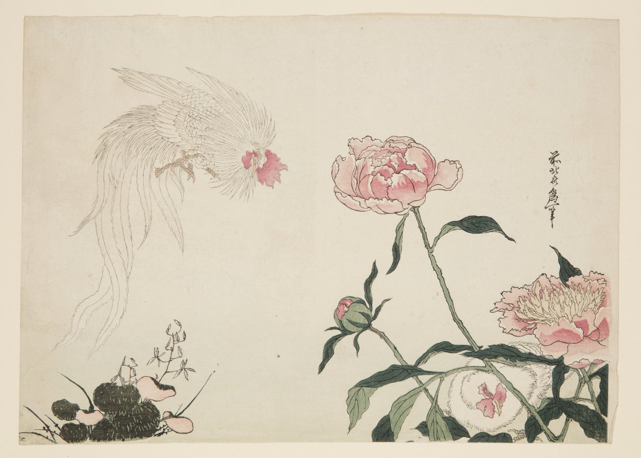 Hosszúfarkú kakasok a virágok között (színes fatömbnyomat) alkotó: Katsushika II (fl.1820 50) Taito