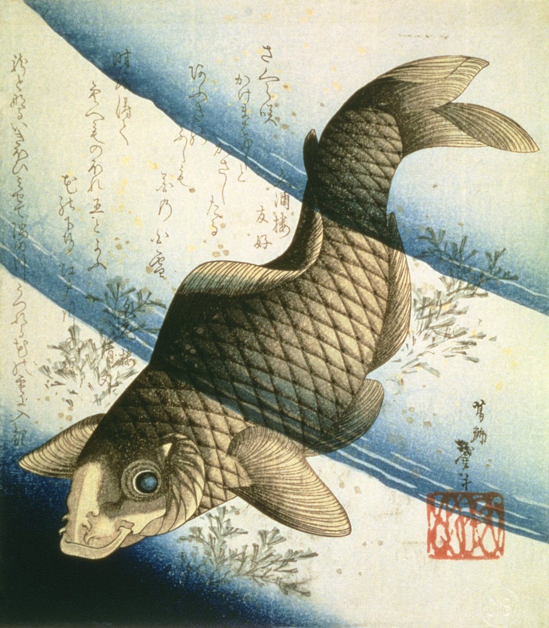 Vízifű között úszkáló ponty, 1832 körül (tinta) alkotó: Katsushika II Taito