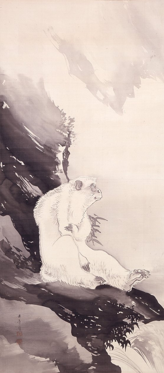 Fehér majom (tinta selyemre) alkotó: Kawabata Gyokushō