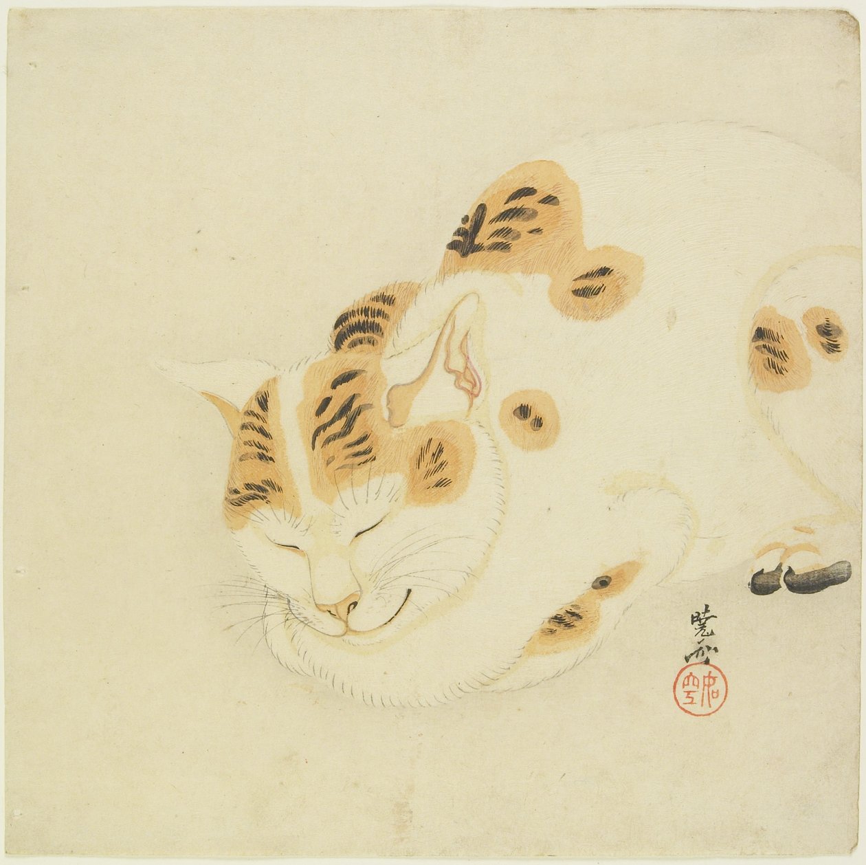 Alvó macska alkotó: Kawanabe Kyosai