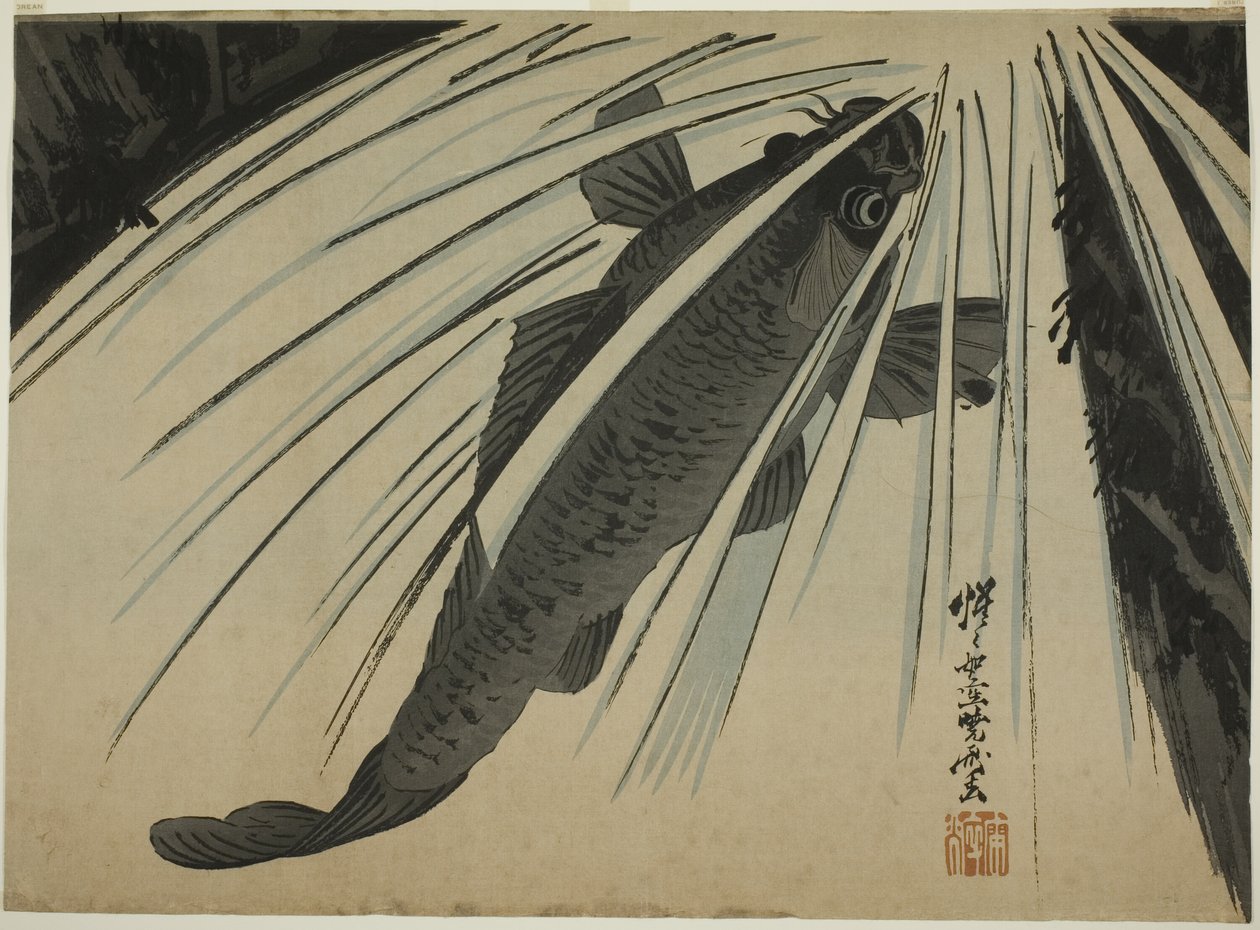 Carp Ascending Falls alkotó: Kawanabe Kyosai