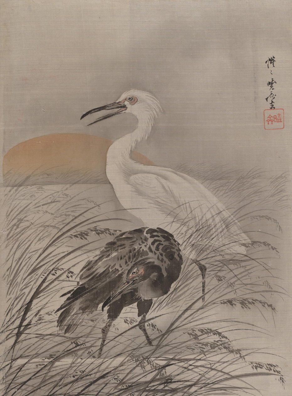 Daruk Marshban, kb. 1887. alkotó: Kawanabe Kyosai