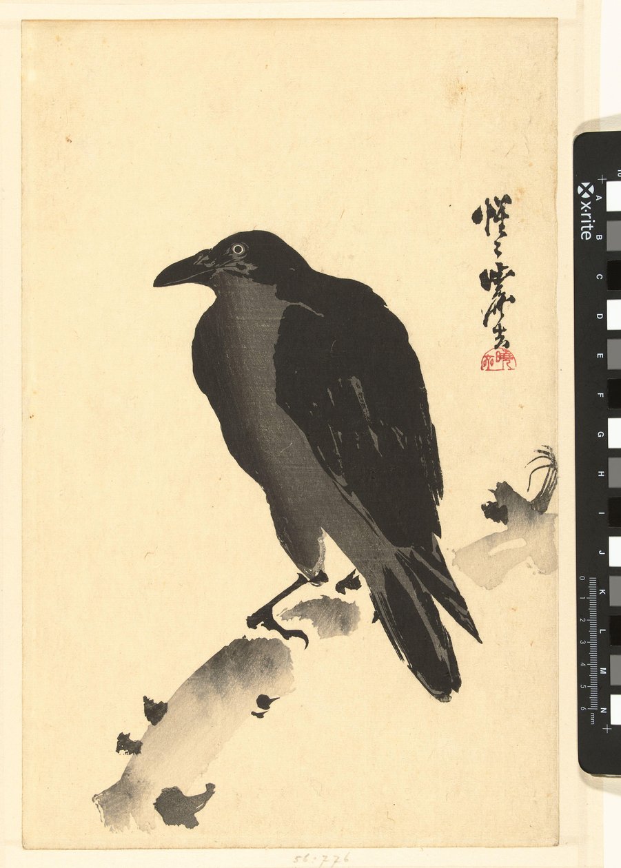 Varjú a fa törzsén alkotó: Kawanabe Kyosai
