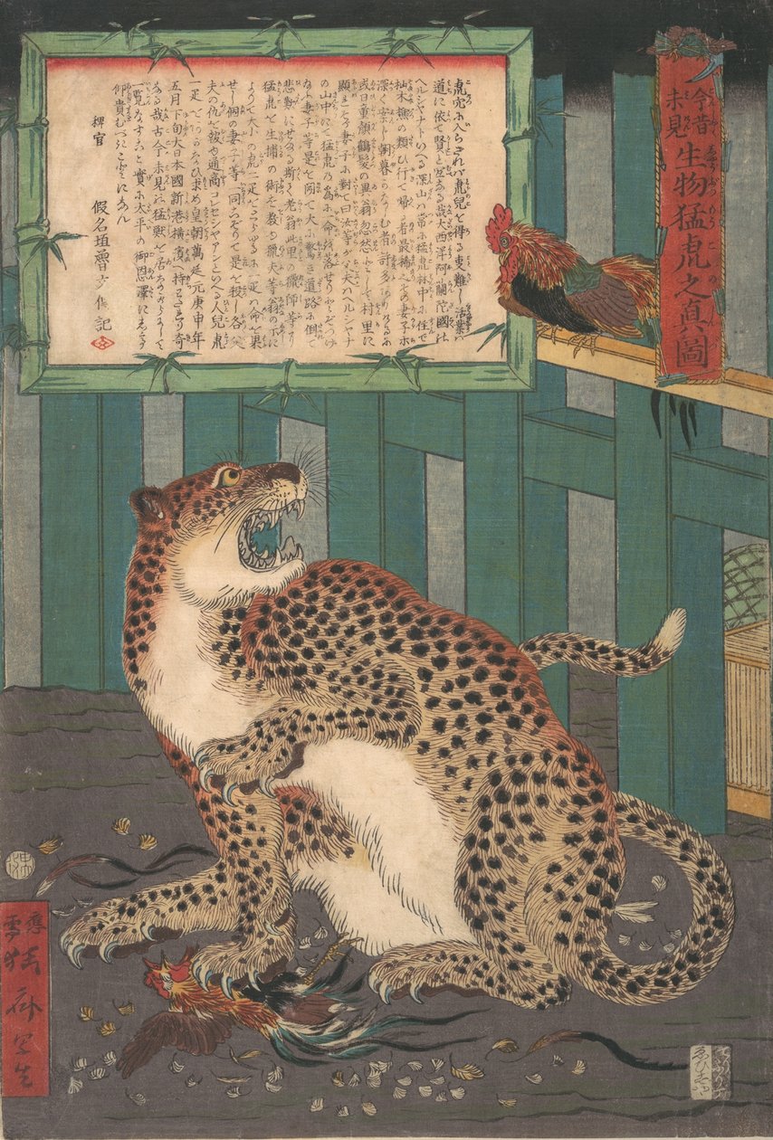 Soha nem látott: Igaz képe egy élő vadtigrisről..., 1860. hatodik hónap. alkotó: Kawanabe Kyosai