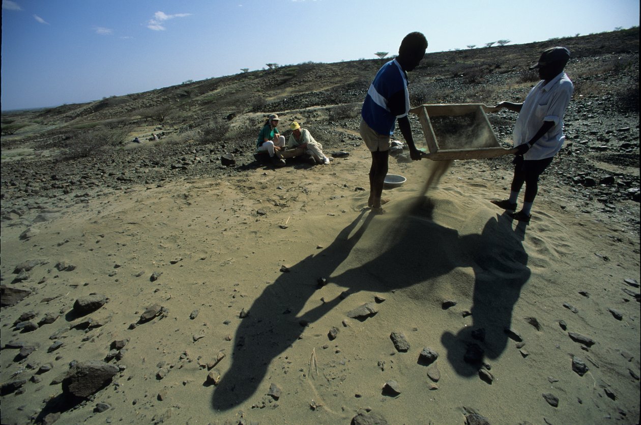 Allia Bay, Kenya; Turkana; Kövületek keresése, Alan Walker, Pennsylvania State Unive... alkotó: Kenneth Garrett