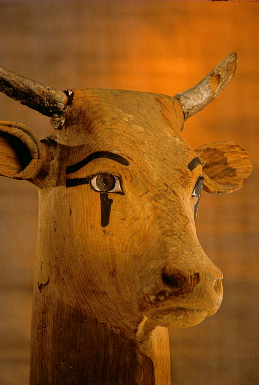 Tehénfej szobor, KV35; Amenhotep II, 2009 (fotó) alkotó: Kenneth Garrett