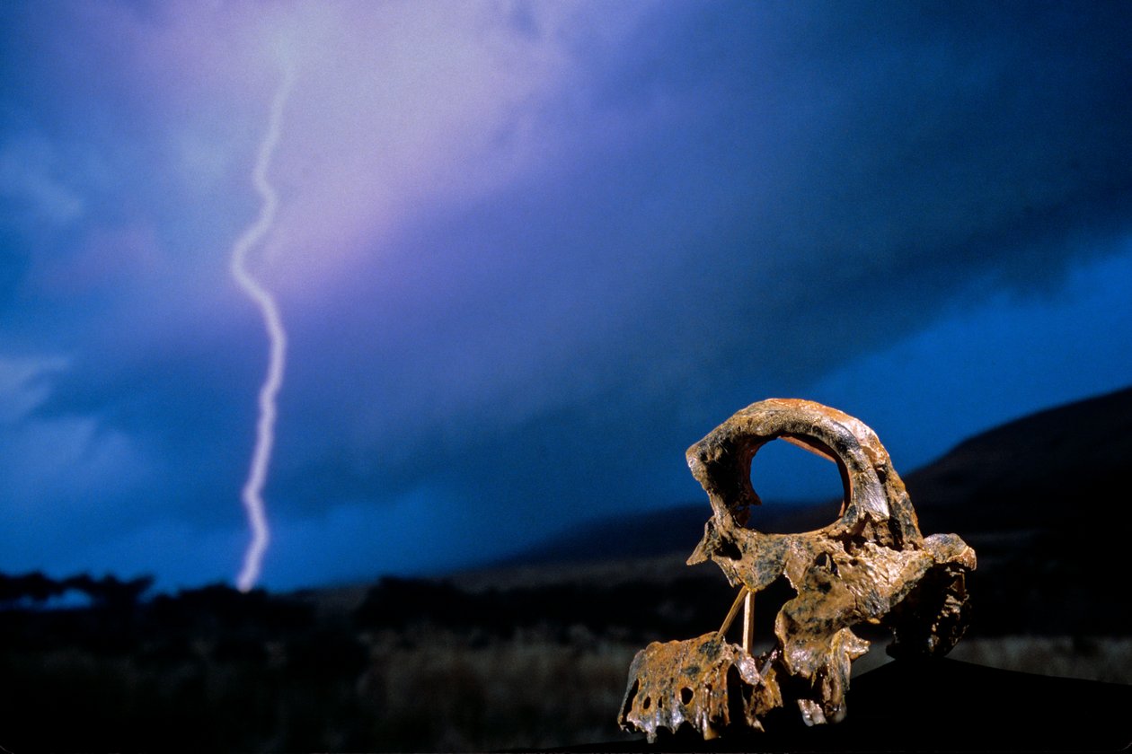 DOH; The First Steps,Broken Skull, STW 847, Lightning, High veld, Swartkrans, Dél-Afrika, 2008 (fotó) alkotó: Kenneth Garrett
