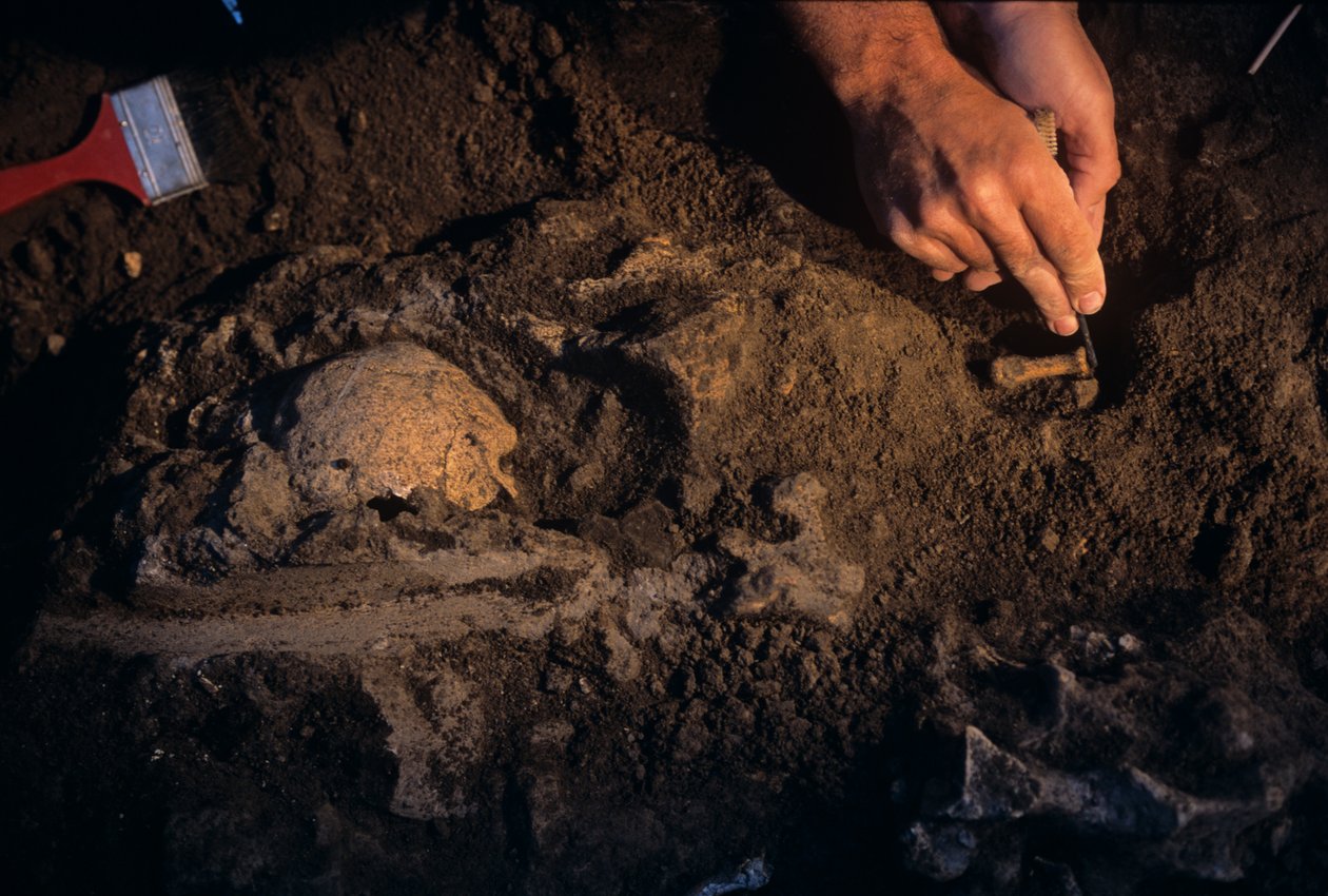 Dmanisi, Grúzia, David Lordkipanidze, Homo Erectus alkotó: Kenneth Garrett