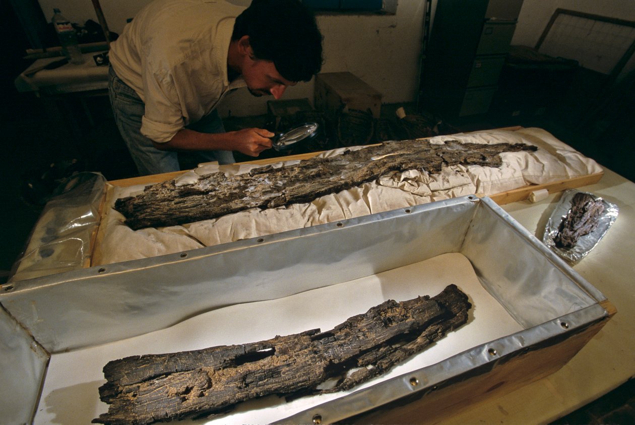 Dr. Matthew Adams laboratóriumban vizsgálja a fa csónakdeszkát, keményfa, nem cédrus, Abydos, Egyiptom, 2005 (fotó) alkotó: Kenneth Garrett