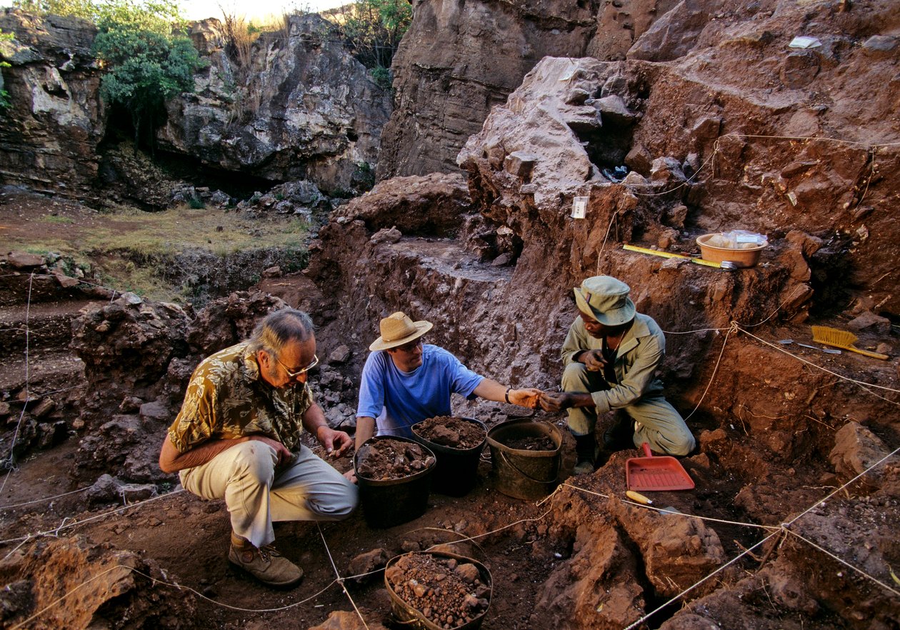 Drimolean lelőhely, Johannesburg közelében, Dél-Afrika, 2 millió éves hominida alkotó: Kenneth Garrett