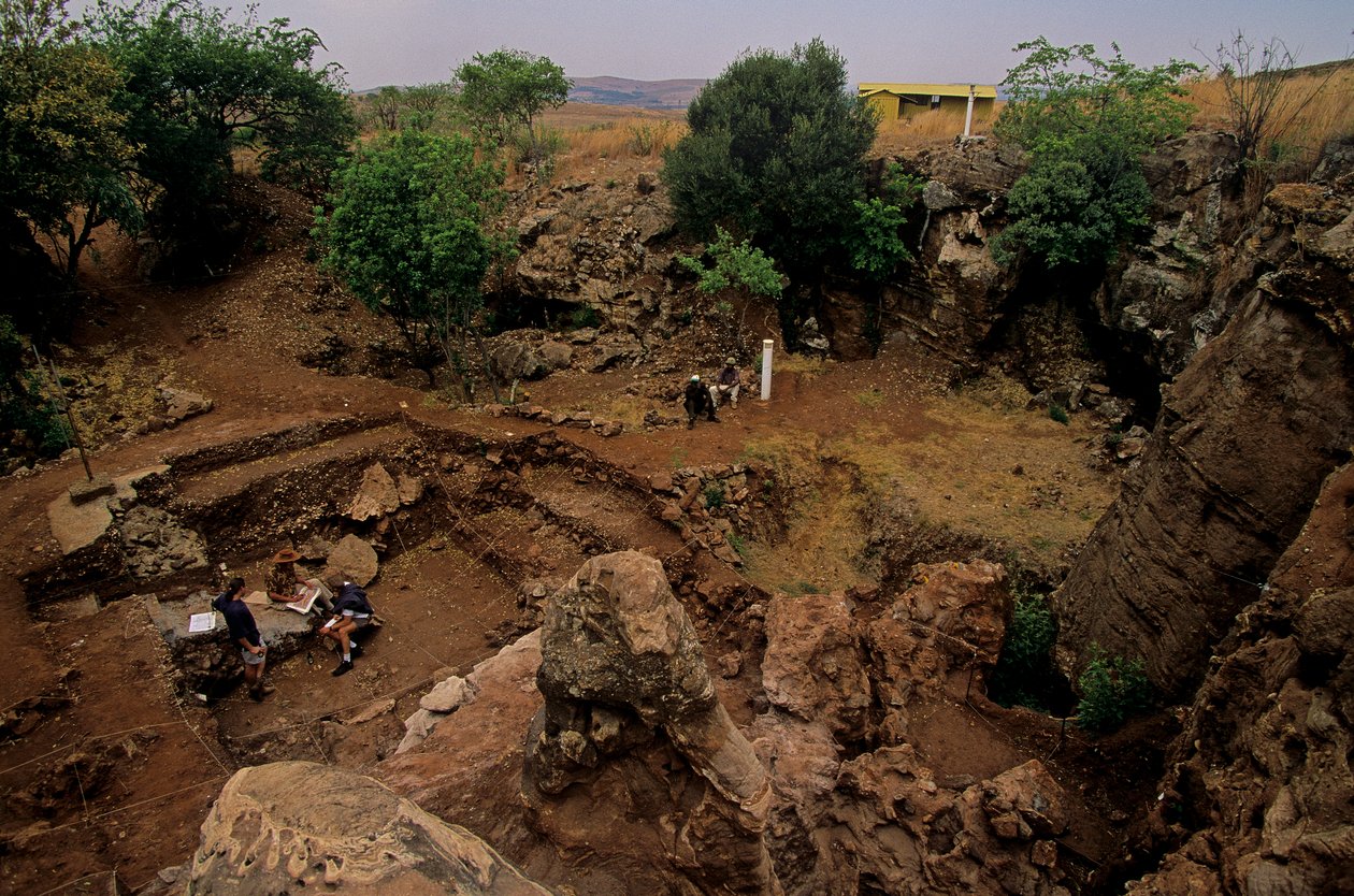 Drimolean Site, Johannesburg közelében, Dél-Afrikában, 2 millió éves hominida, alkotó: Kenneth Garrett
