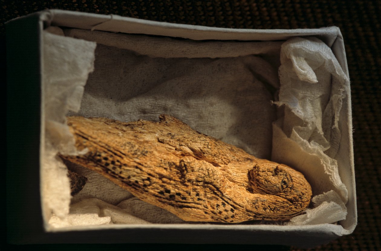 Női alak, predinasztikus kor, Egyiptom, 2005 (fotó) alkotó: Kenneth Garrett