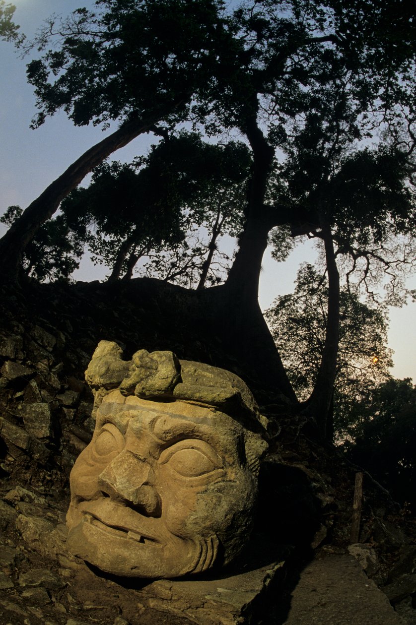 N isten, Ceiba fa, templom, maja, Copan, Honduras, klasszikus időszak alkotó: Kenneth Garrett