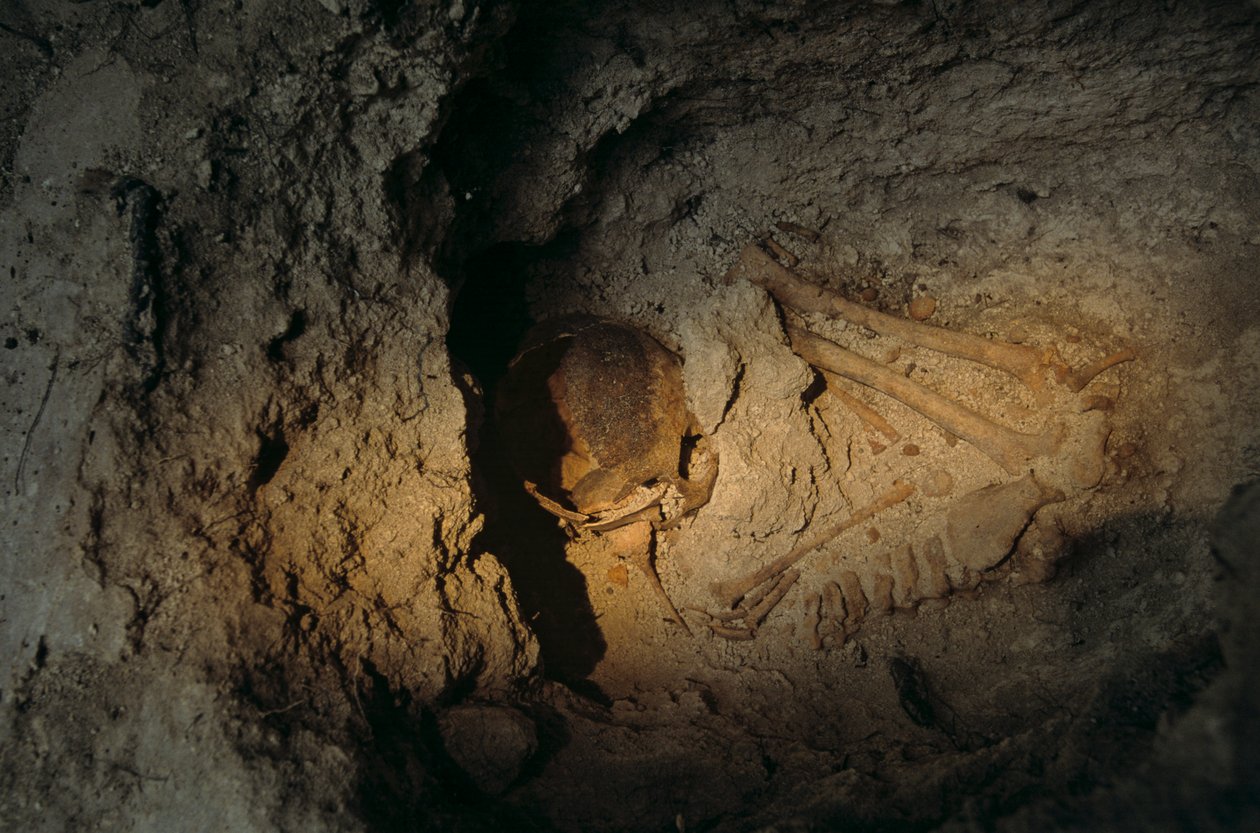 Emberi maradványok, Homul Center, Holmul, Guatemala, maja, Francisco Estradabelli, 2008 (fotó) alkotó: Kenneth Garrett