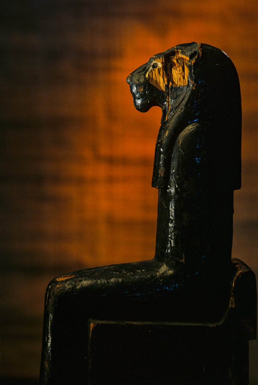 Leóni Istennő szobra, Amenhotep II; Leóni Istennő; KV 35; Fa, 2009 (fotó) alkotó: Kenneth Garrett