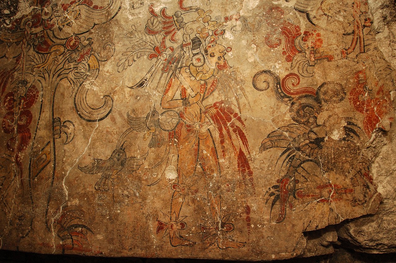 Maya; Maya falfestmények; San Bartolo; Guatemala; Dr Bill Saturno, 2005 (fotó) alkotó: Kenneth Garrett