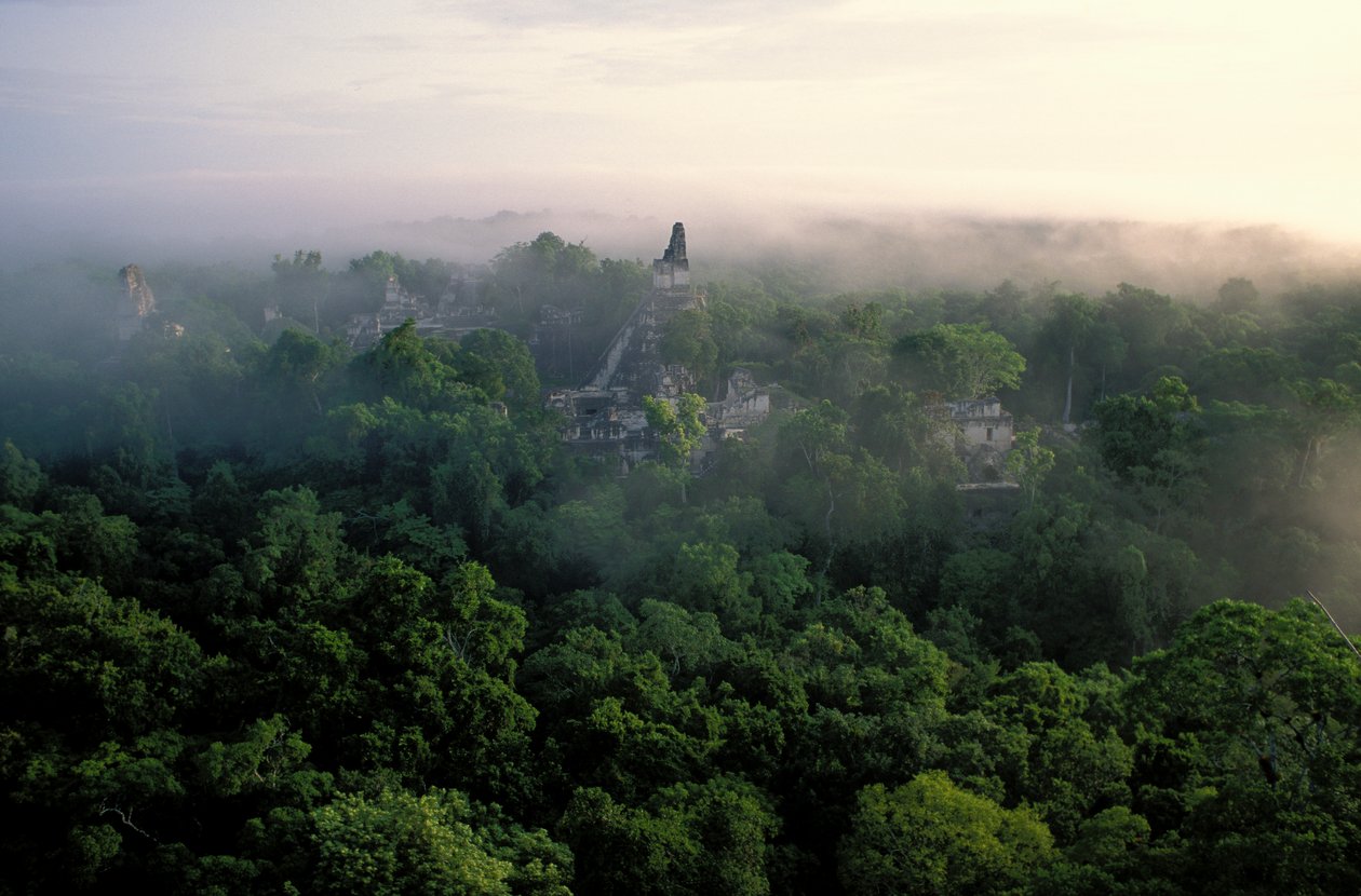 Maya; Tikal; Guatemala alkotó: Kenneth Garrett