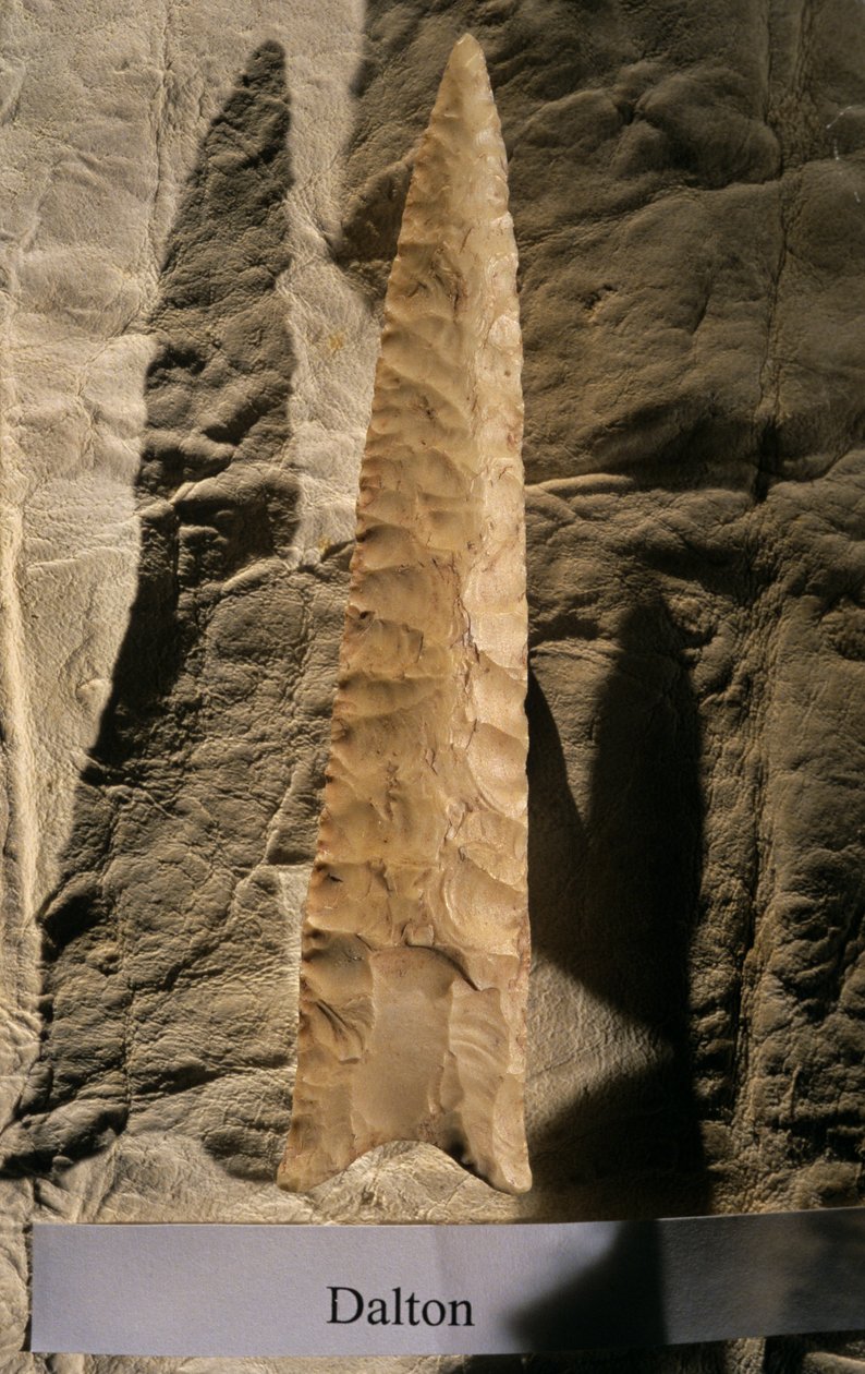 Peopling the Americas, Dalton Point, Dennis Stanford, Smithsonian eszközgyűjtemény, 2008 (fotó) alkotó: Kenneth Garrett