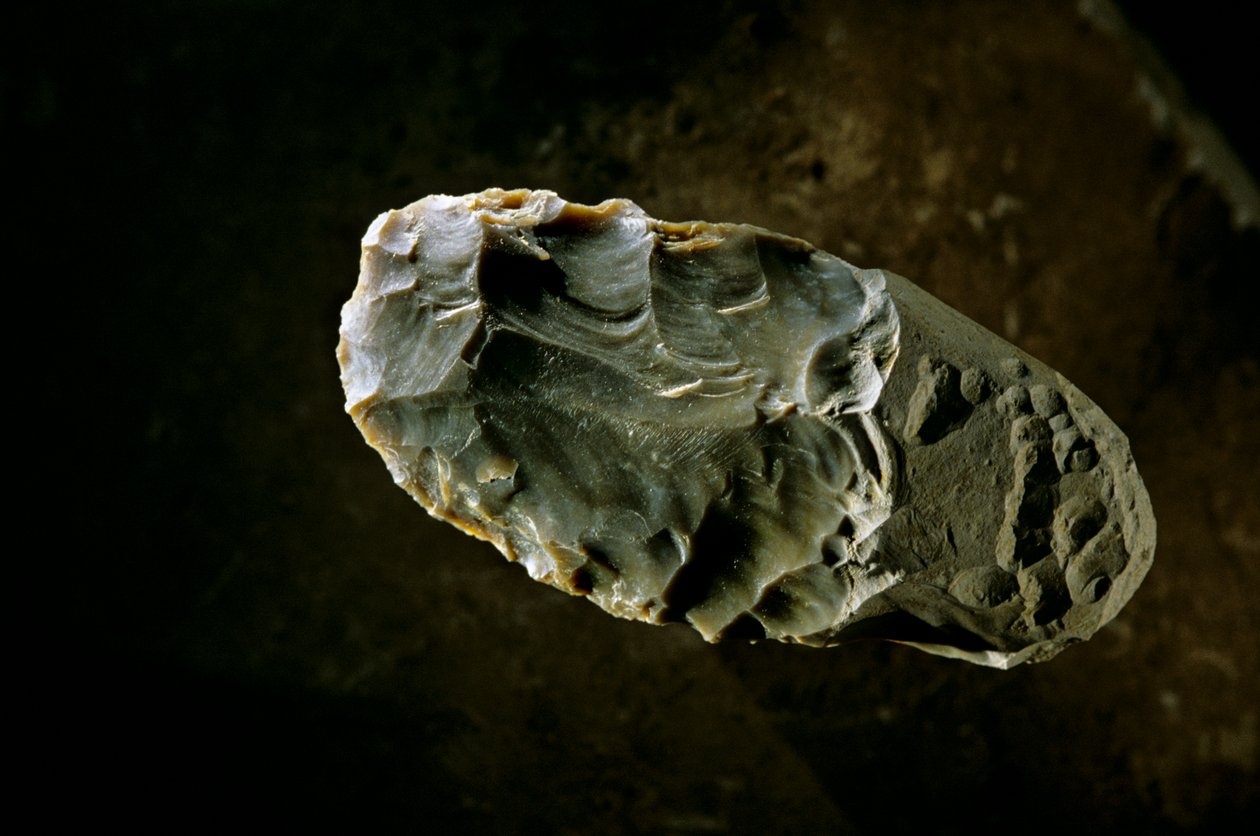 Peopling the Americas, Stone Axe, Gault lelőhely, Texas, Amerika, 2000 (fotó) alkotó: Kenneth Garrett