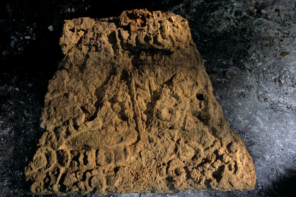 Sztélé, Sufricaya, Holmul, Guatemala, maja, Francisco Estradabelli, 2008 (fotó) alkotó: Kenneth Garrett