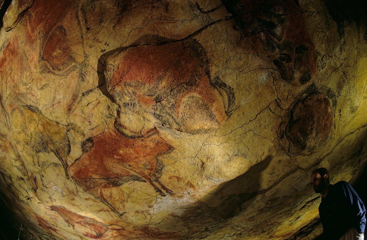 A bölények galériája, Altamira-barlang, Spanyolország, 2000 (fotó) alkotó: Kenneth Garrett