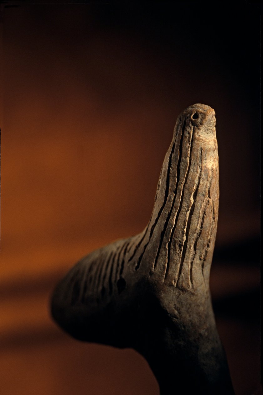 Urkesh; Hurrián; Birodalom; Szíria; 2400 BC; Giorgio Buccellati; Régészet; EAME, artif..., 2004 (fotó) alkotó: Kenneth Garrett