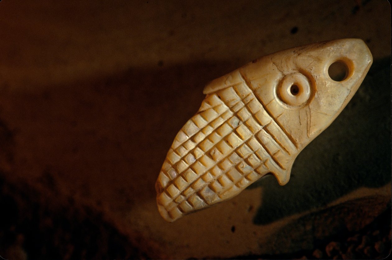 Urkesh, Hurrián Birodalom, Szíria, Kr.e. 2400, Giorgio Buccellati, gyöngyház hal, 2004 (fotó) alkotó: Kenneth Garrett