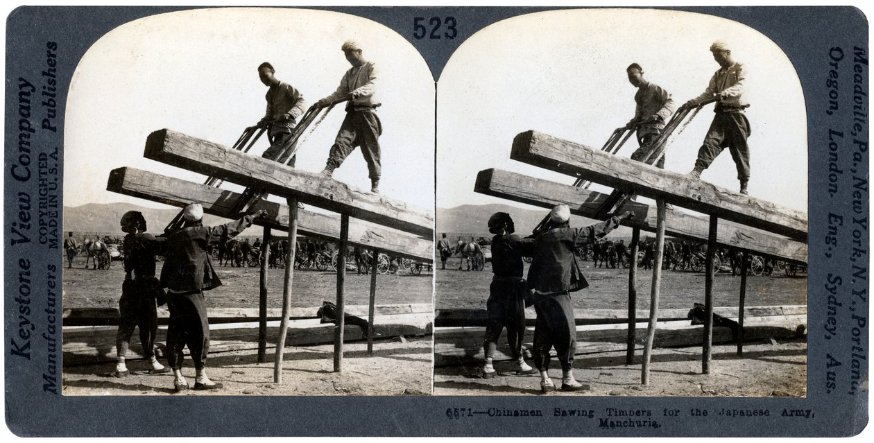 Kínai férfiak fát fűrészelnek a japán hadsereg számára, Mandzsúria, orosz-japán háború, 1904-1905. alkotó: Keystone View Company