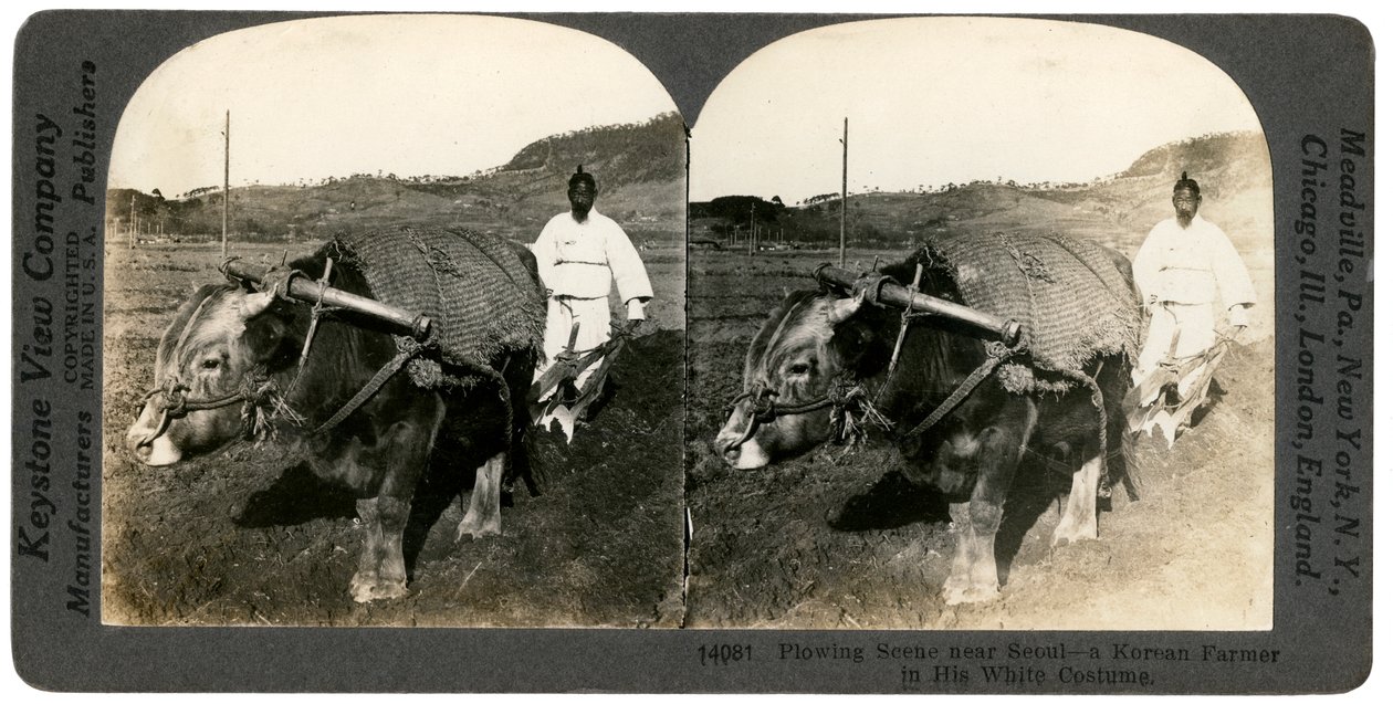 Gazdálkodás Szöul közelében, Dél-Korea, 1900-as évek. alkotó: Keystone View Company
