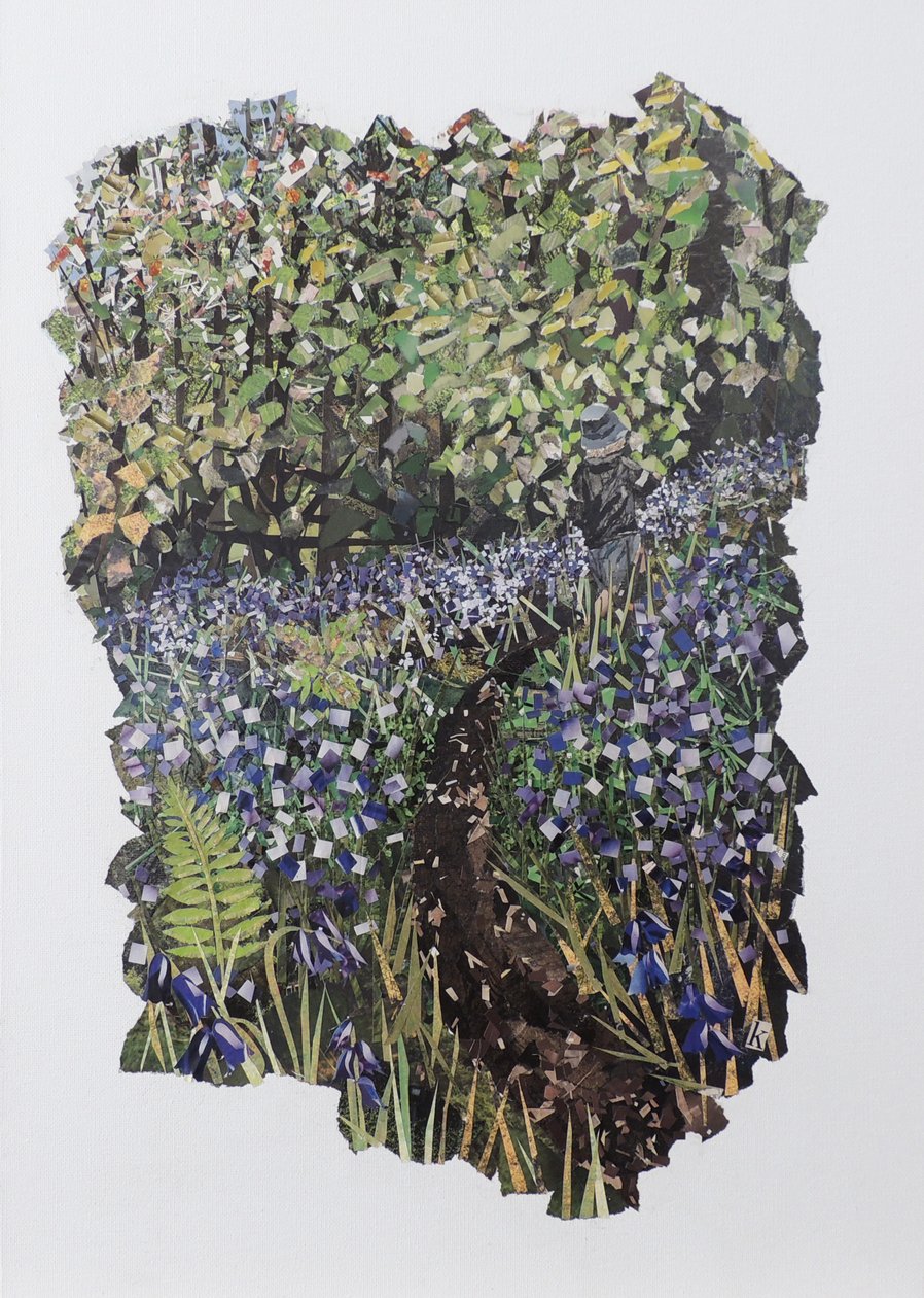 Bluebell Wood alkotó: Kirstie Adamson