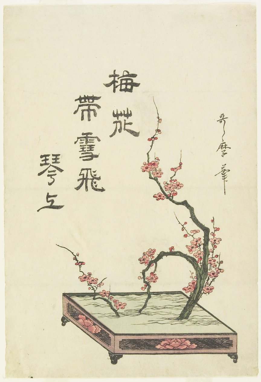 (Szilva virágdísz) alkotó: Kitagawa Utamaro