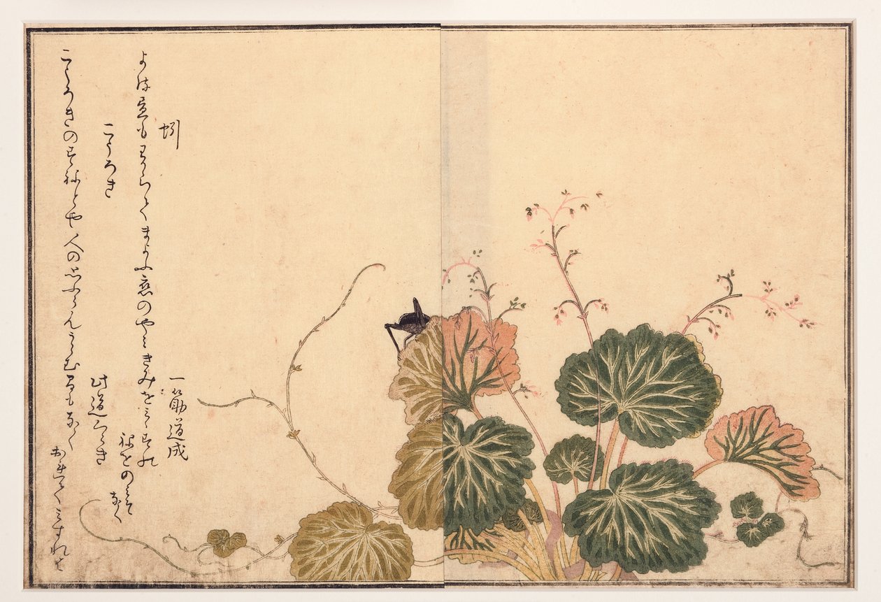 Giliszta és fekete tücsök, 1788 (fatömb) alkotó: Kitagawa Utamaro
