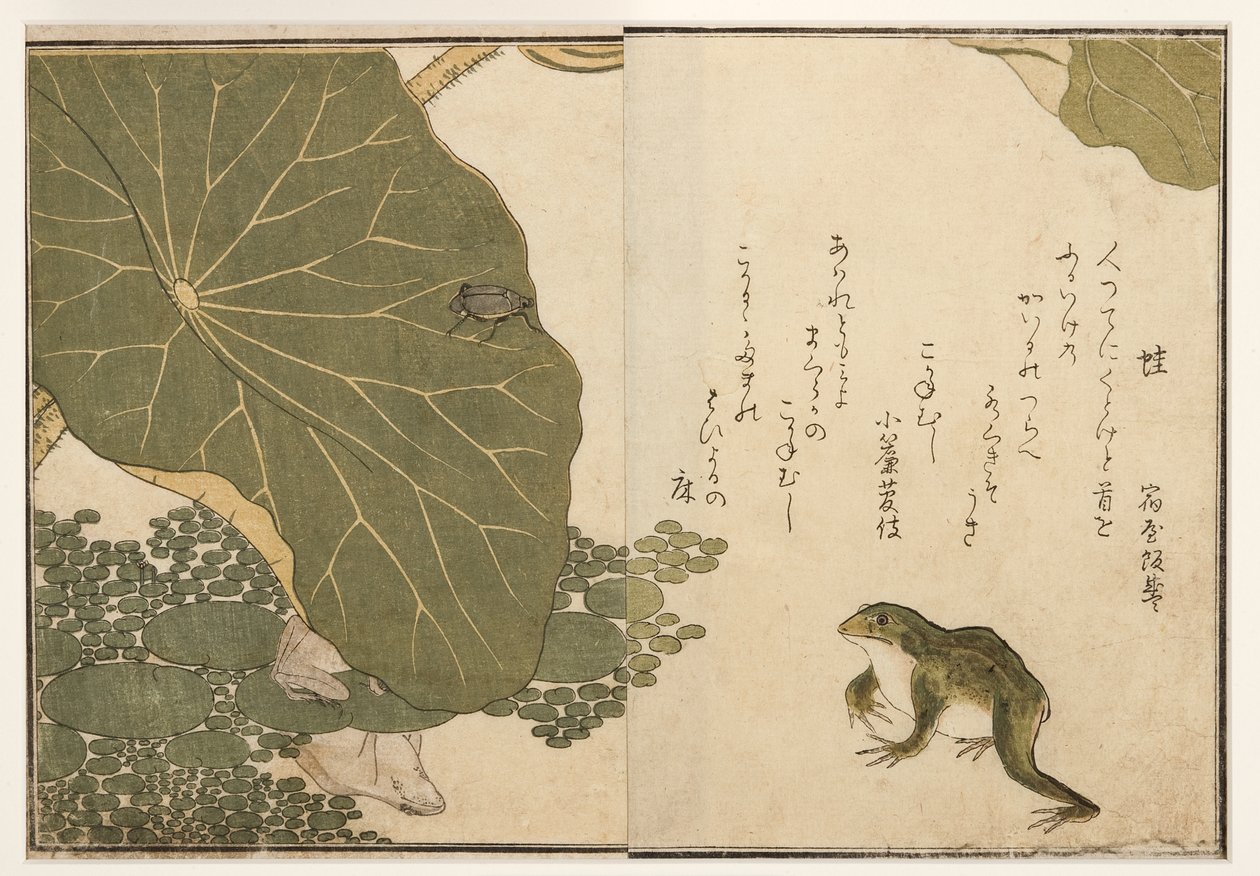 Békák és aranyszínű rovarbogár, 1788 (fatömb) alkotó: Kitagawa Utamaro