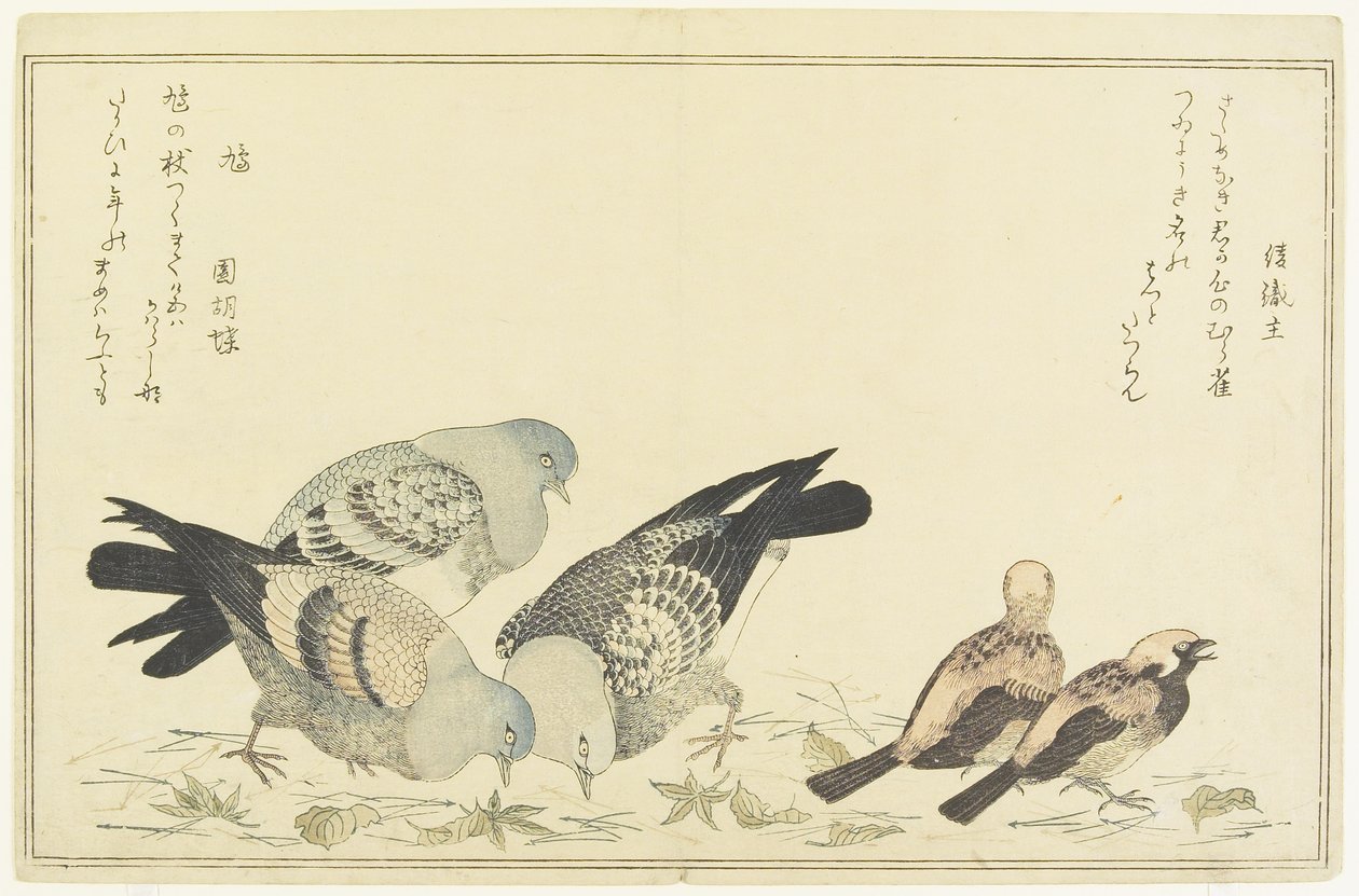 Veréb és sziklagalamb, c. 1790 alkotó: Kitagawa Utamaro