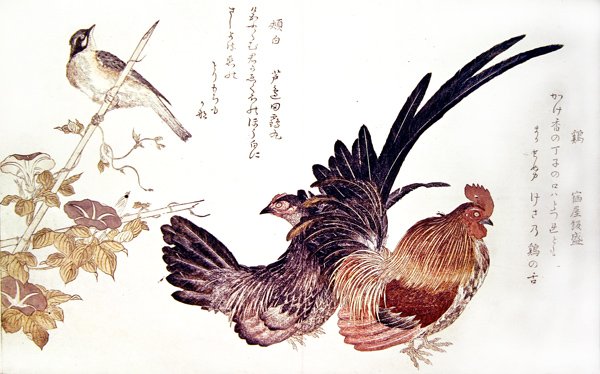 Házi tyúk és kakas és japán sármány bambuszrügyön, 1791 körül (színes fatömbnyomat) alkotó: Kitagawa Utamaro