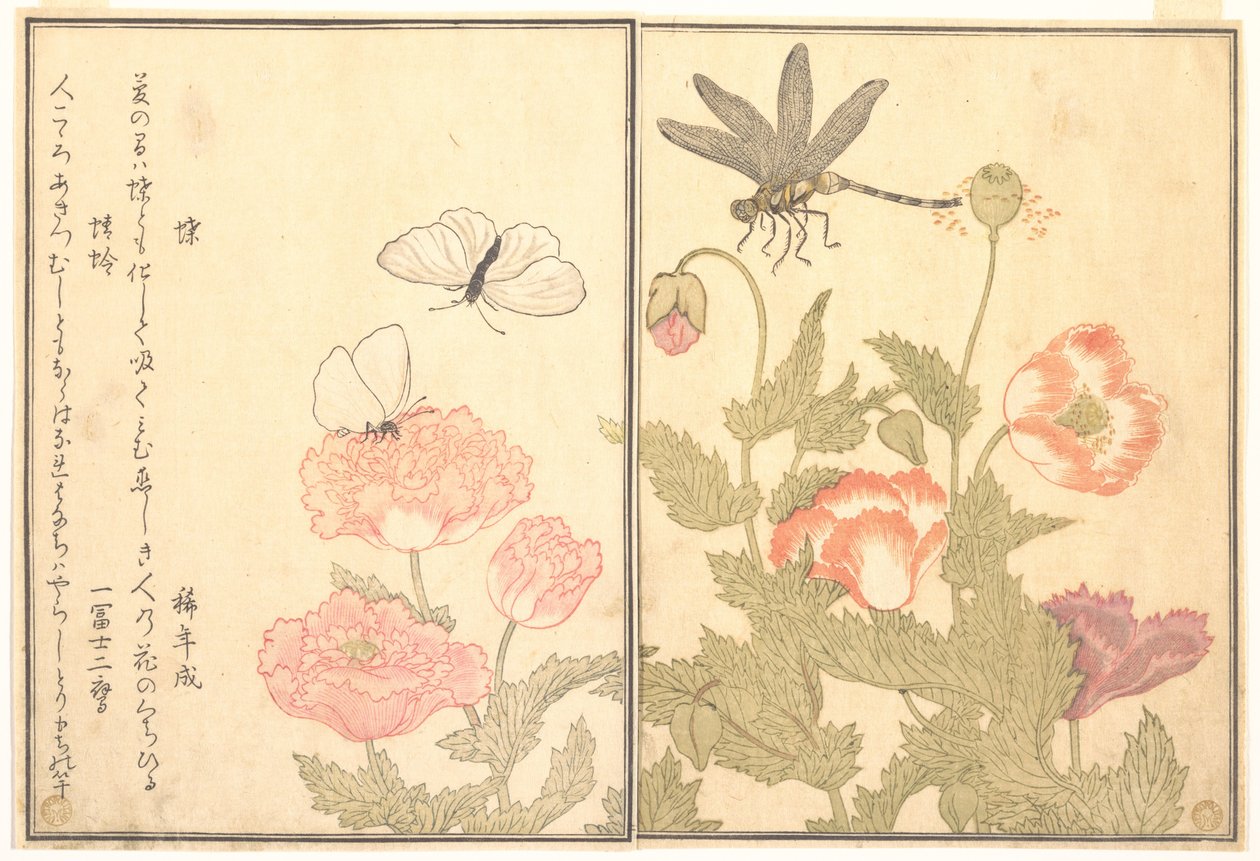 Pillangó (Chō); Szitakötő (Kagerō vagy Tonbo), a Kúszó teremtmények képeskönyvéből (Ehon mushi erami) alkotó: Kitagawa Utamaro