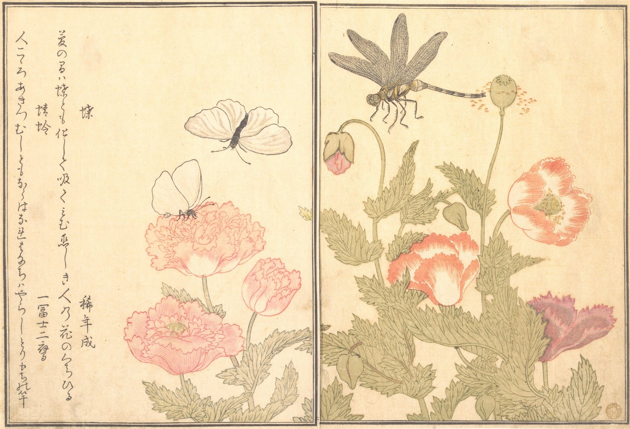 Rfly által eltalált D Ragon fly Kagero r Dragonfly, 1788. alkotó: Kitagawa Utamaro