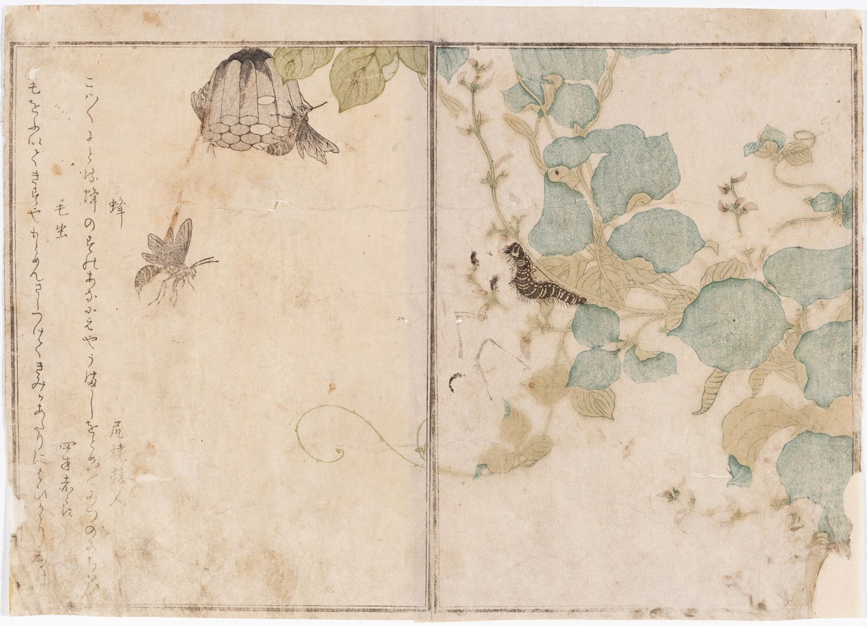 Hernyók és méhek alkotó: Kitagawa Utamaro
