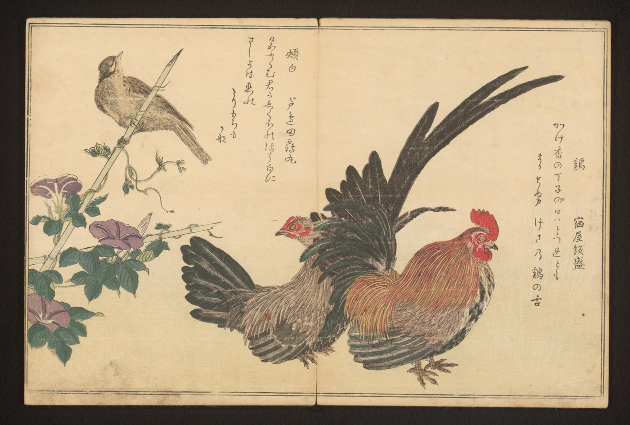 Kakas és sármány alkotó: Kitagawa Utamaro