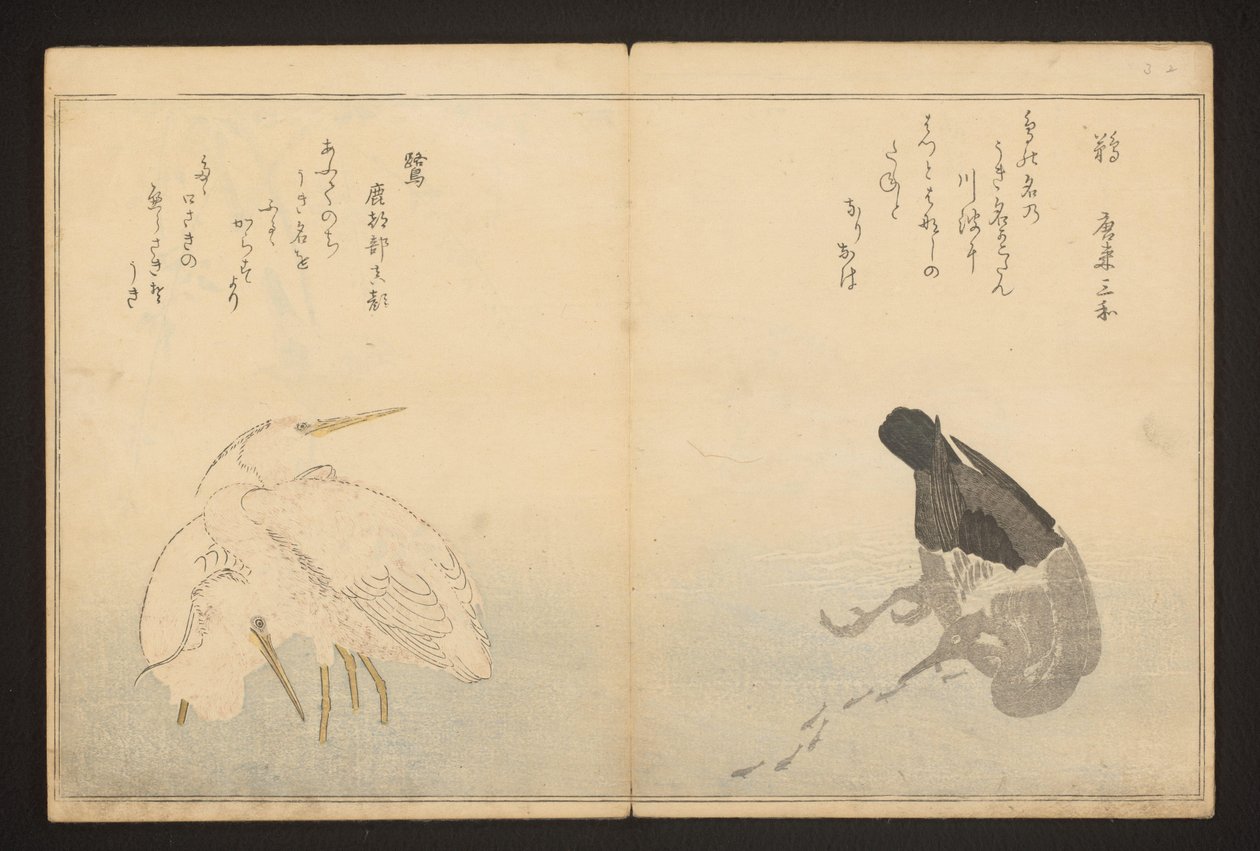 Kormorán és gém alkotó: Kitagawa Utamaro