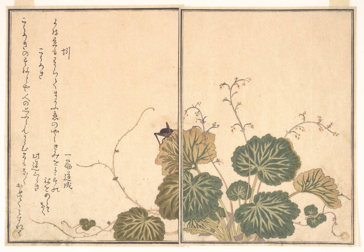 Földigiliszta (Mimizu); tücsök (Kōrogi), a Mászó lények képeskönyvéből (Ehon mushi erami) alkotó: Kitagawa Utamaro