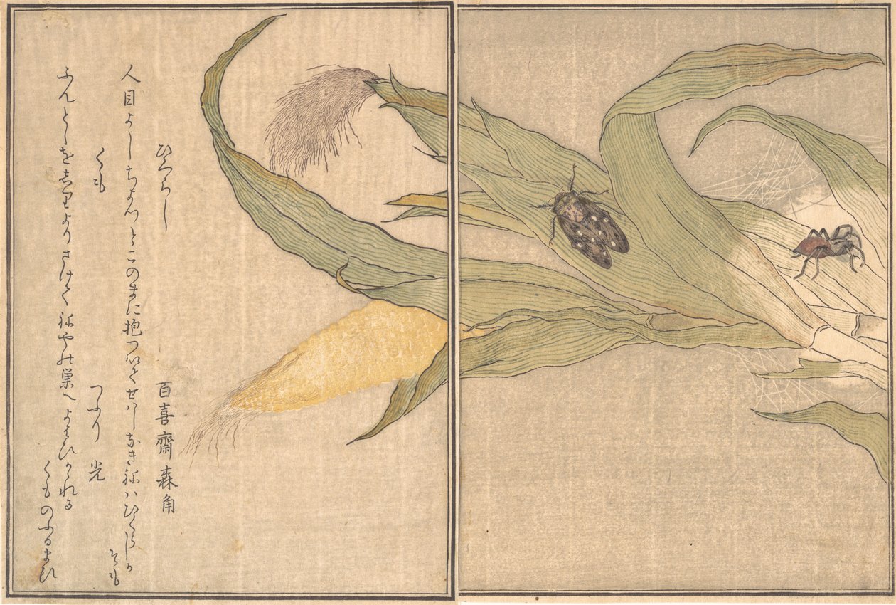 Kép Vejin g Dental, Higurashi, S day r, Cloud. .. .. , 1788. alkotó: Kitagawa Utamaro