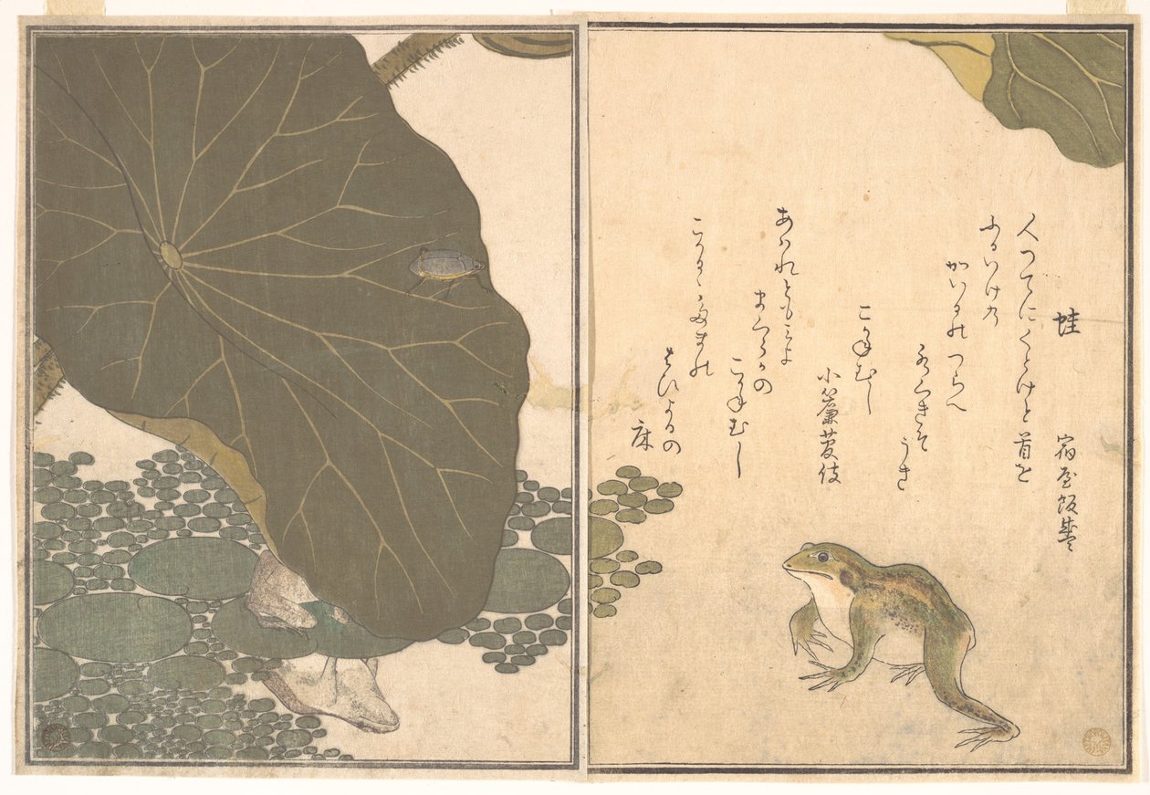 Béka (Kaeru); aranybogár (Kogane mushi), a Kúszó lények képeskönyvéből (Ehon mushi erami) alkotó: Kitagawa Utamaro