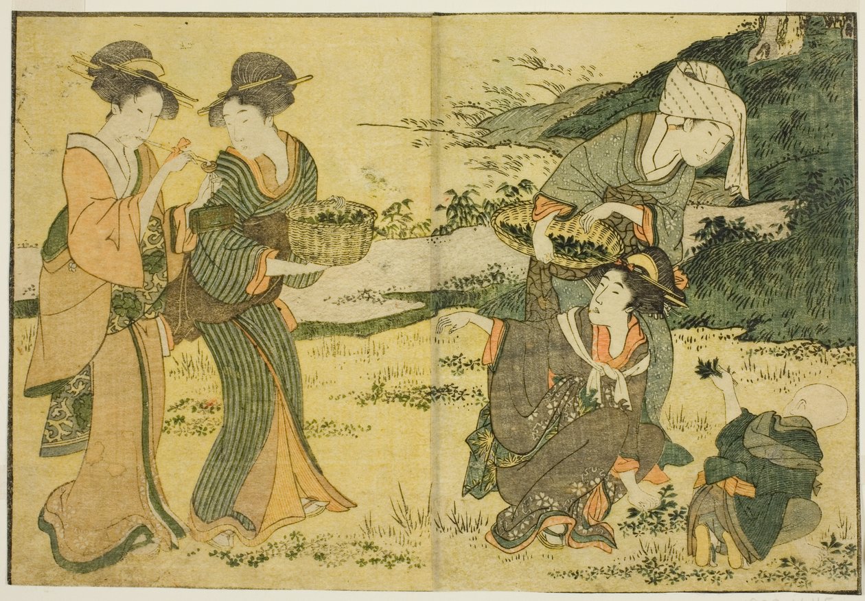 Tavaszi gyógynövények gyűjtése, a "Képeskönyv: A négy évszak virágai (Ehon shiki no hana)" című illusztrált könyvből. 1 alkotó: Kitagawa Utamaro