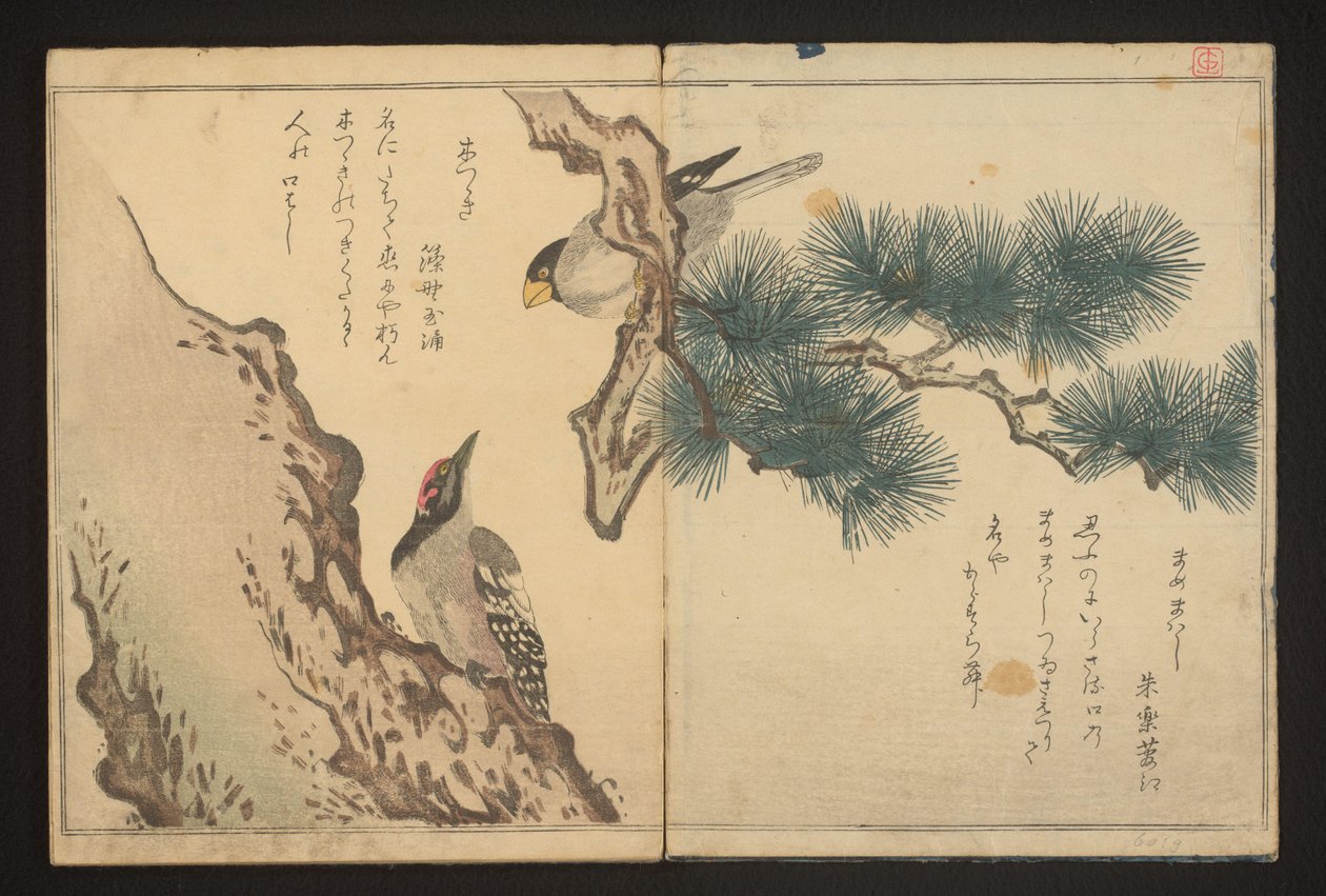 Csörgő és harkály alkotó: Kitagawa Utamaro