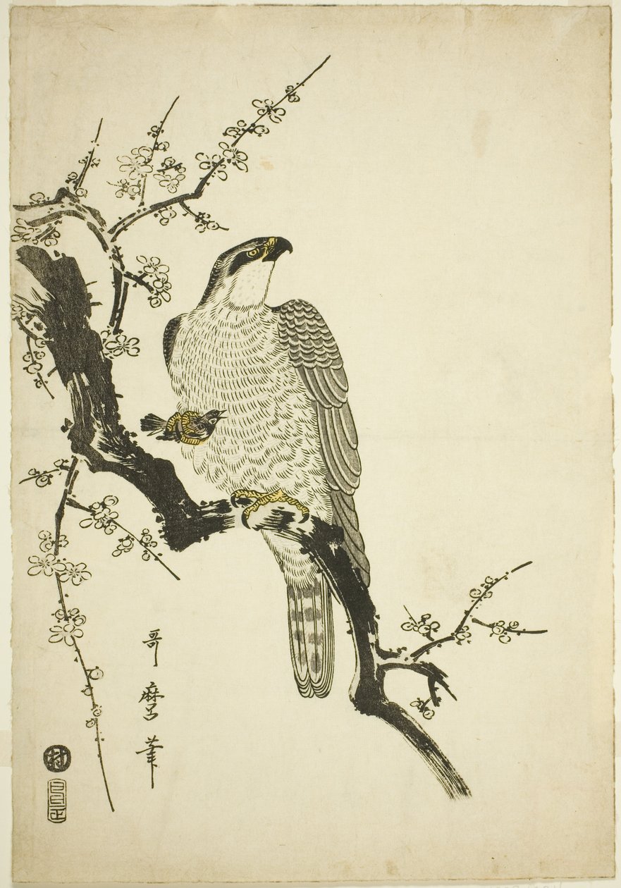 Sólyom szilvaágon alkotó: Kitagawa Utamaro