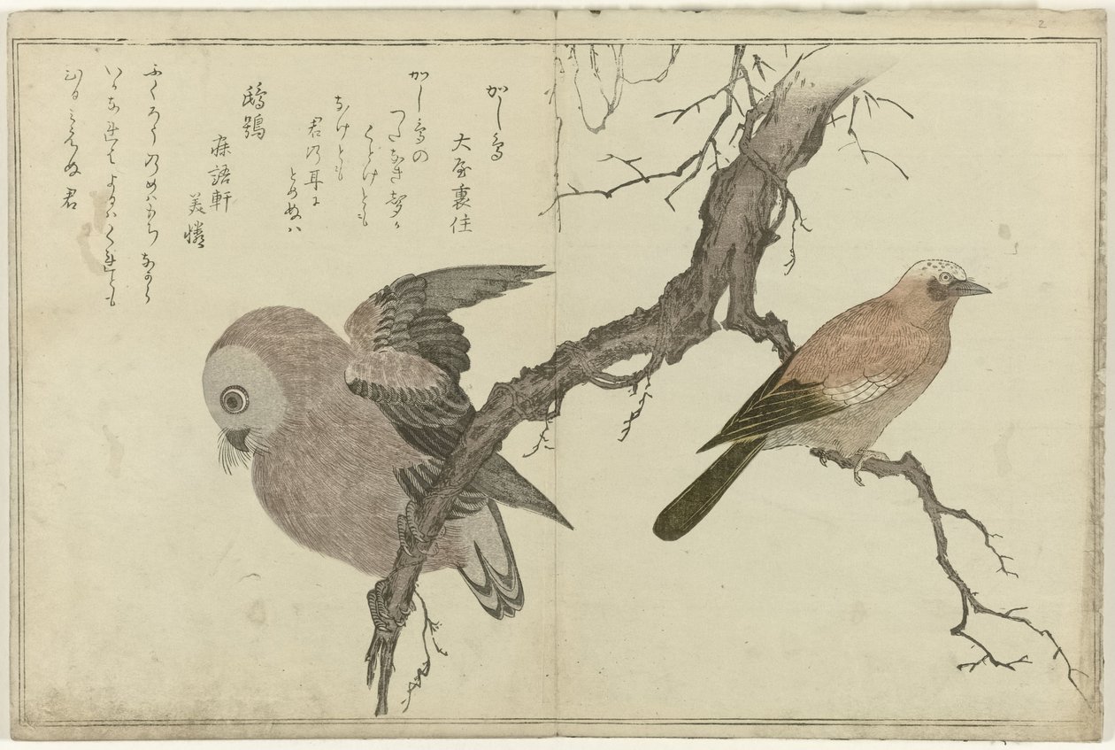 Jay és bagoly alkotó: Kitagawa Utamaro