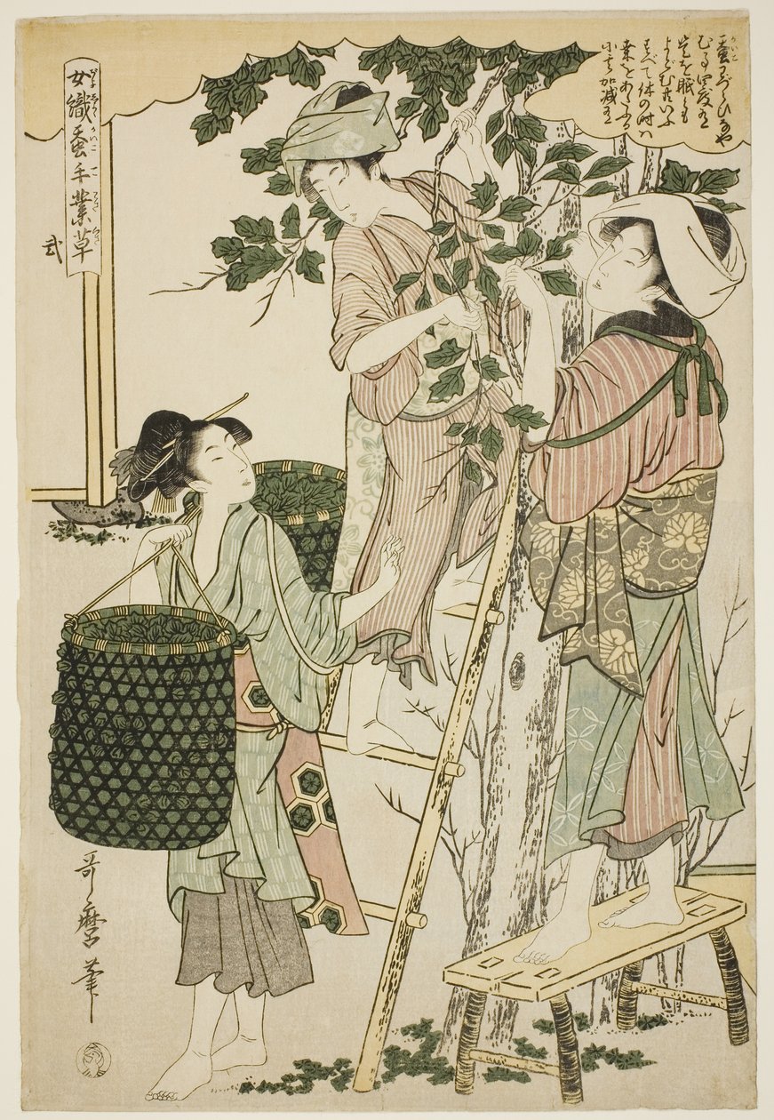 No. 2 (ni), a "Nők, akik részt vesznek a sericulture iparágban (Joshoku kaiko tewaza-gusa)" sorozatból alkotó: Kitagawa Utamaro