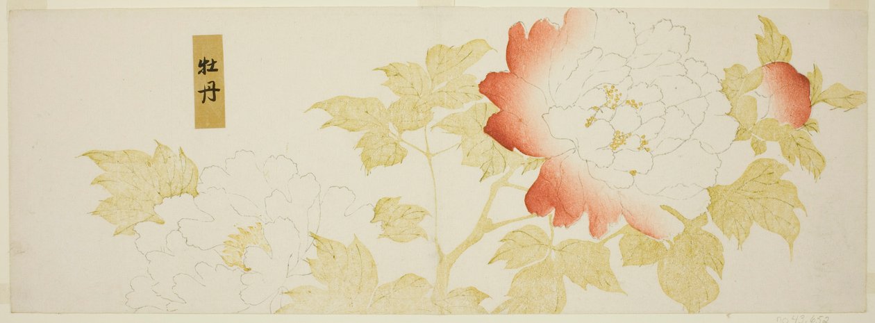 Pünkösdi rózsa alkotó: Kitagawa Utamaro